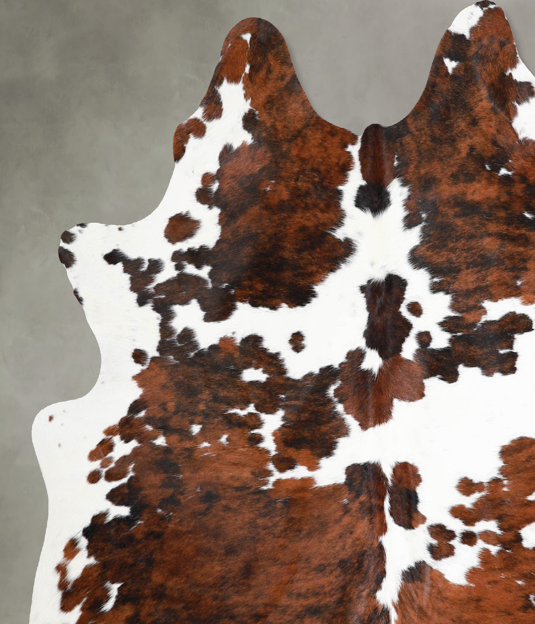Tricolor Cowhide Rug #A55039