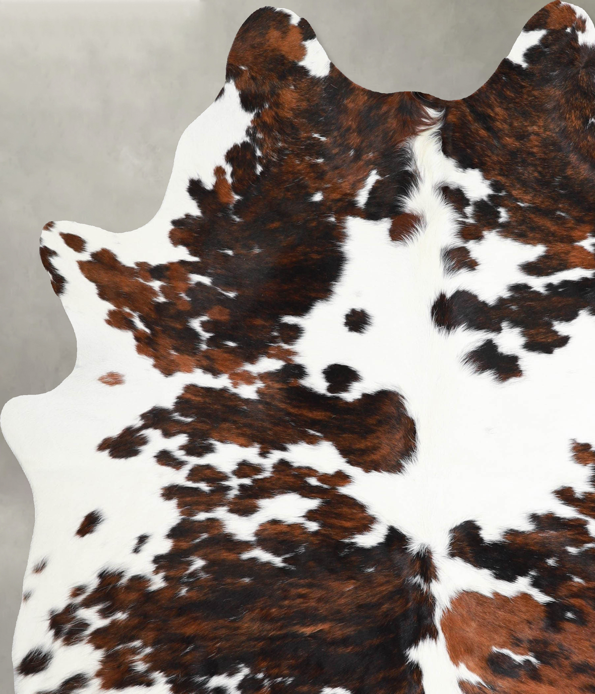 Tricolor Large Brazilian Cowhide Rug 7'1"H x 5'7"W #A55040 by Hudson Hides