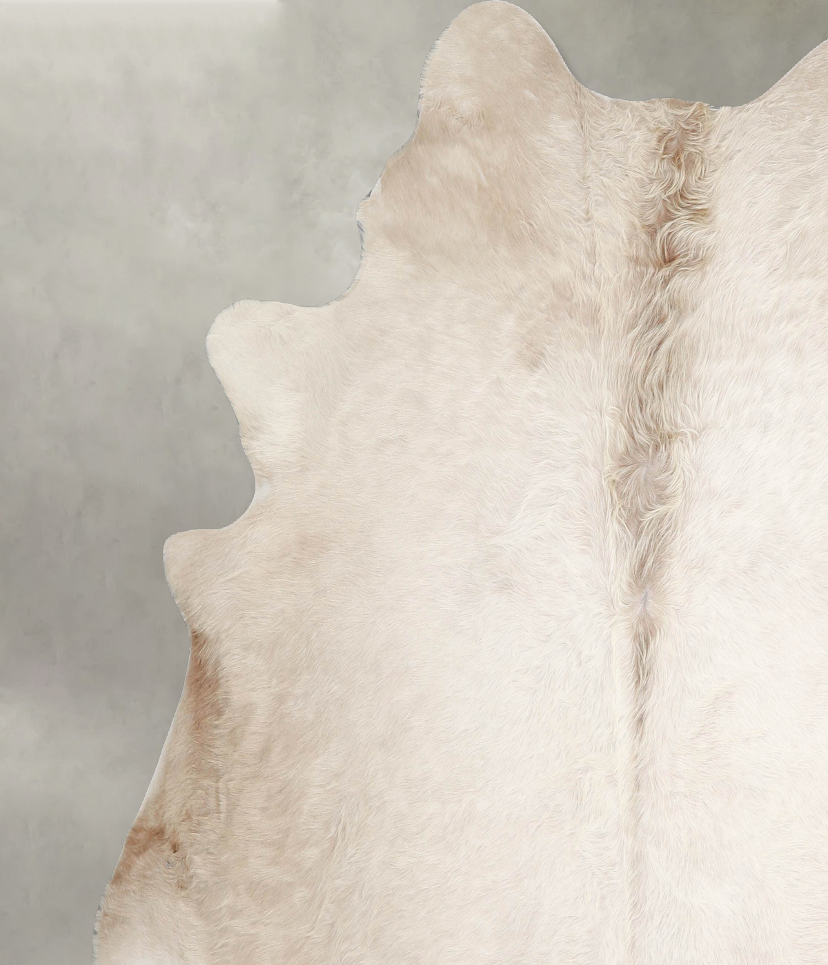 Champagne XX-Large Brazilian Cowhide Rug 7'5"H x 6'11"W #A55042 by Hudson Hides