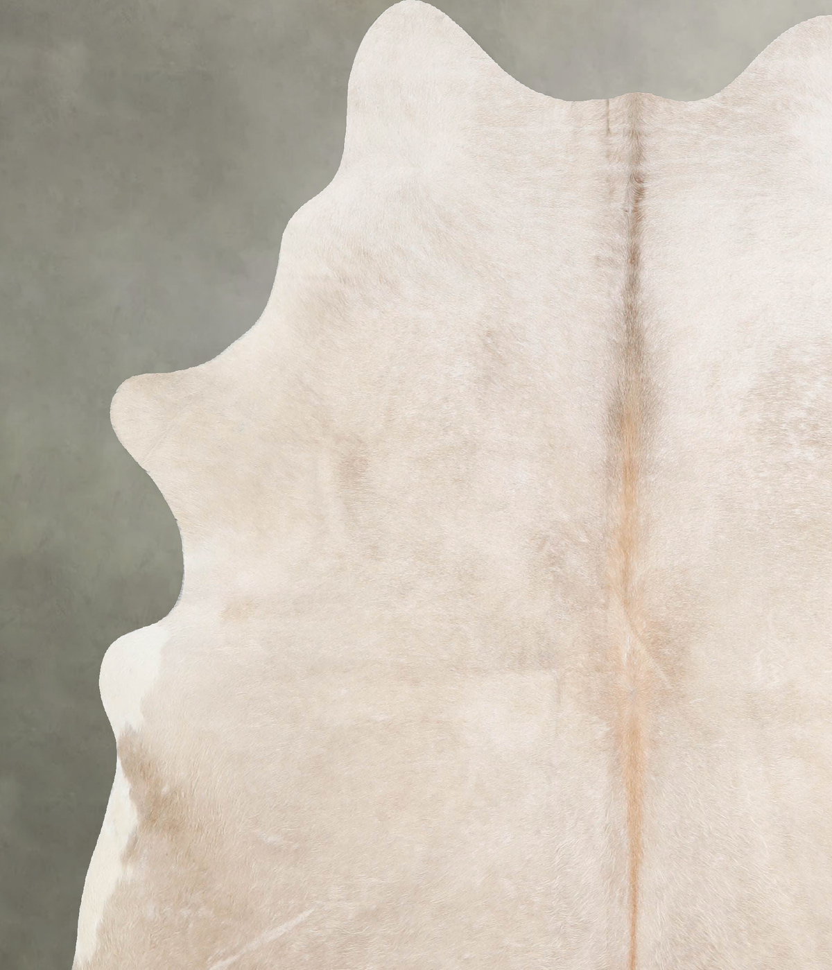 Champagne Large Brazilian Cowhide Rug 6'7"H x 5'10"W #A55047 by Hudson Hides