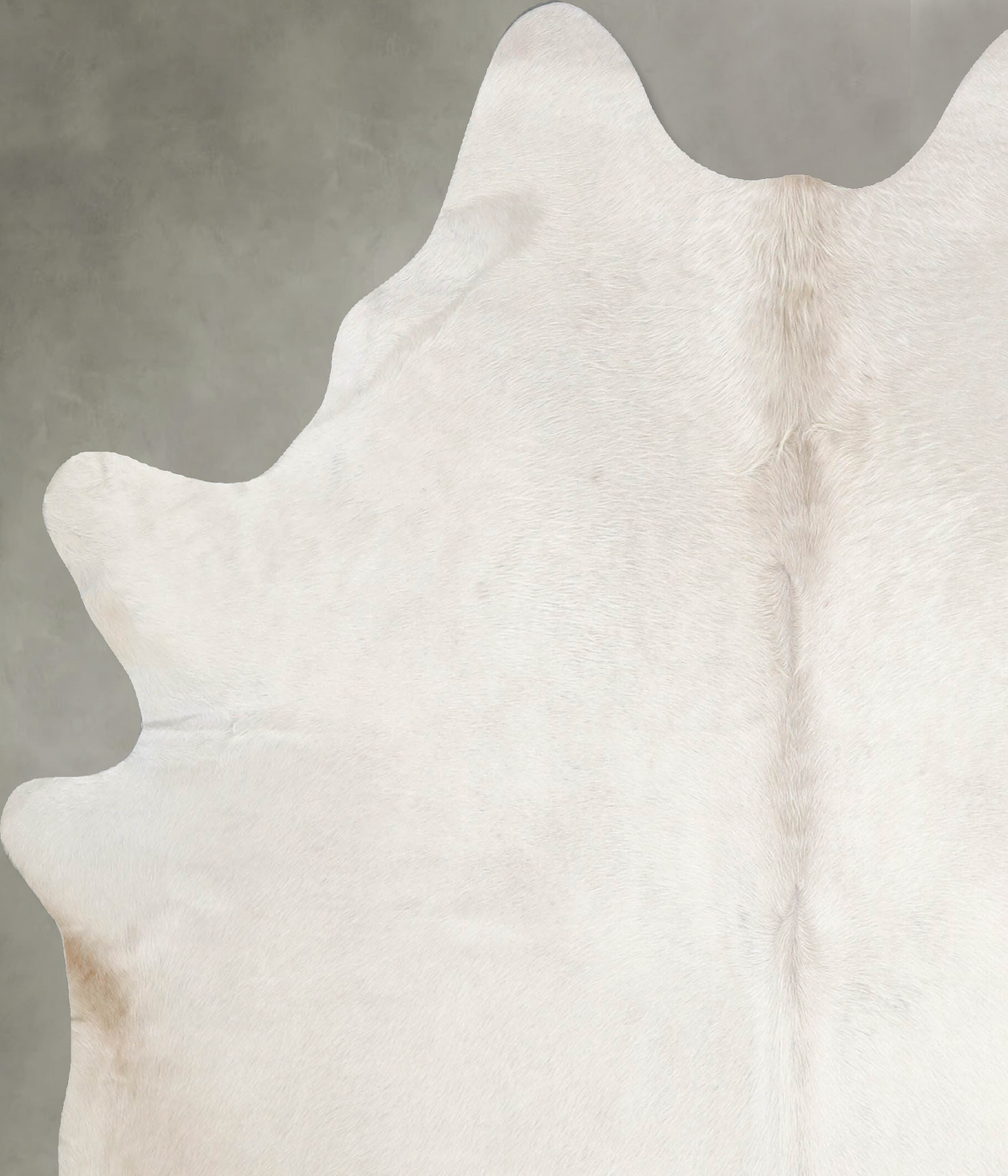 Champagne Large Brazilian Cowhide Rug 6'3"H x 5'8"W #A55048 by Hudson Hides