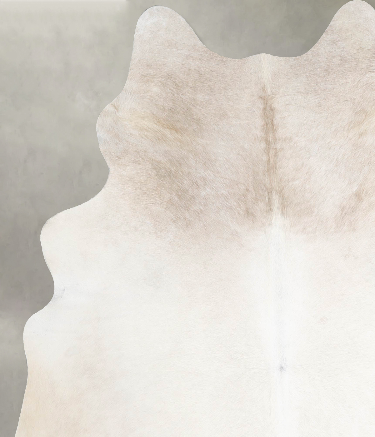 Champagne Large Brazilian Cowhide Rug 6'6"H x 5'4"W #A55049 by Hudson Hides