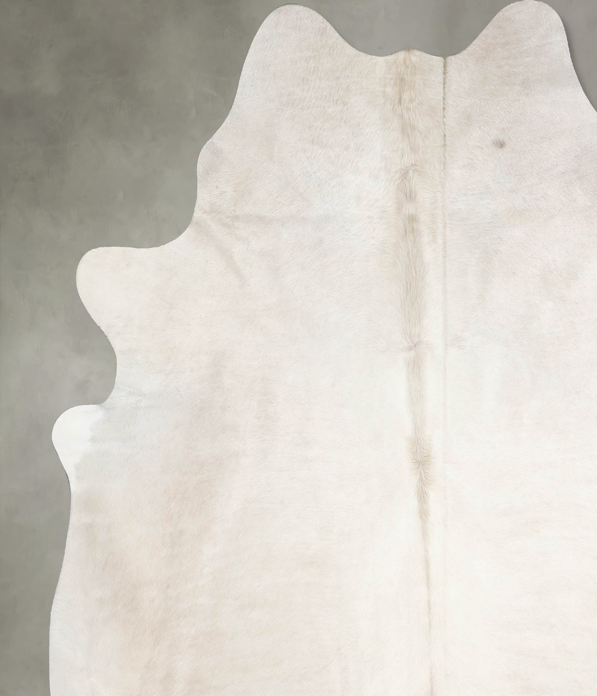 Champagne XX-Large Brazilian Cowhide Rug 7'7"H x 6'10"W #A55055 by Hudson Hides