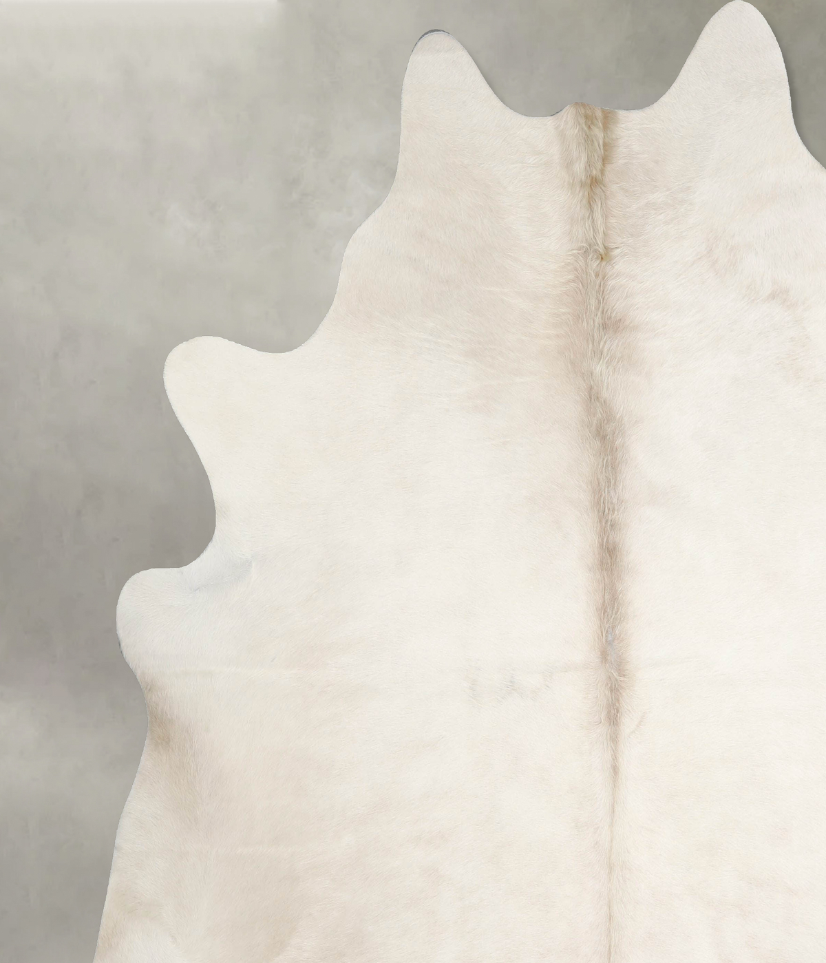 Champagne XX-Large Brazilian Cowhide Rug 7'10"H x 7'5"W #A55056 by Hudson Hides