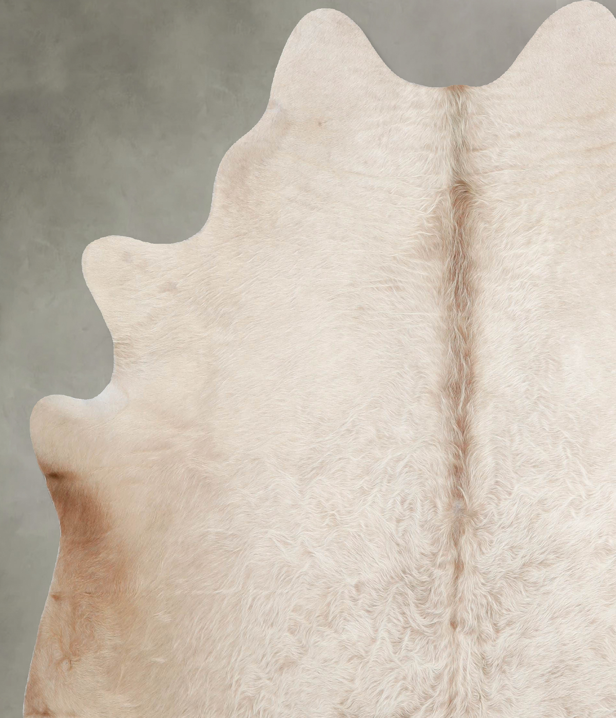 Champagne Large Brazilian Cowhide Rug 6'6"H x 5'11"W #A55068 by Hudson Hides