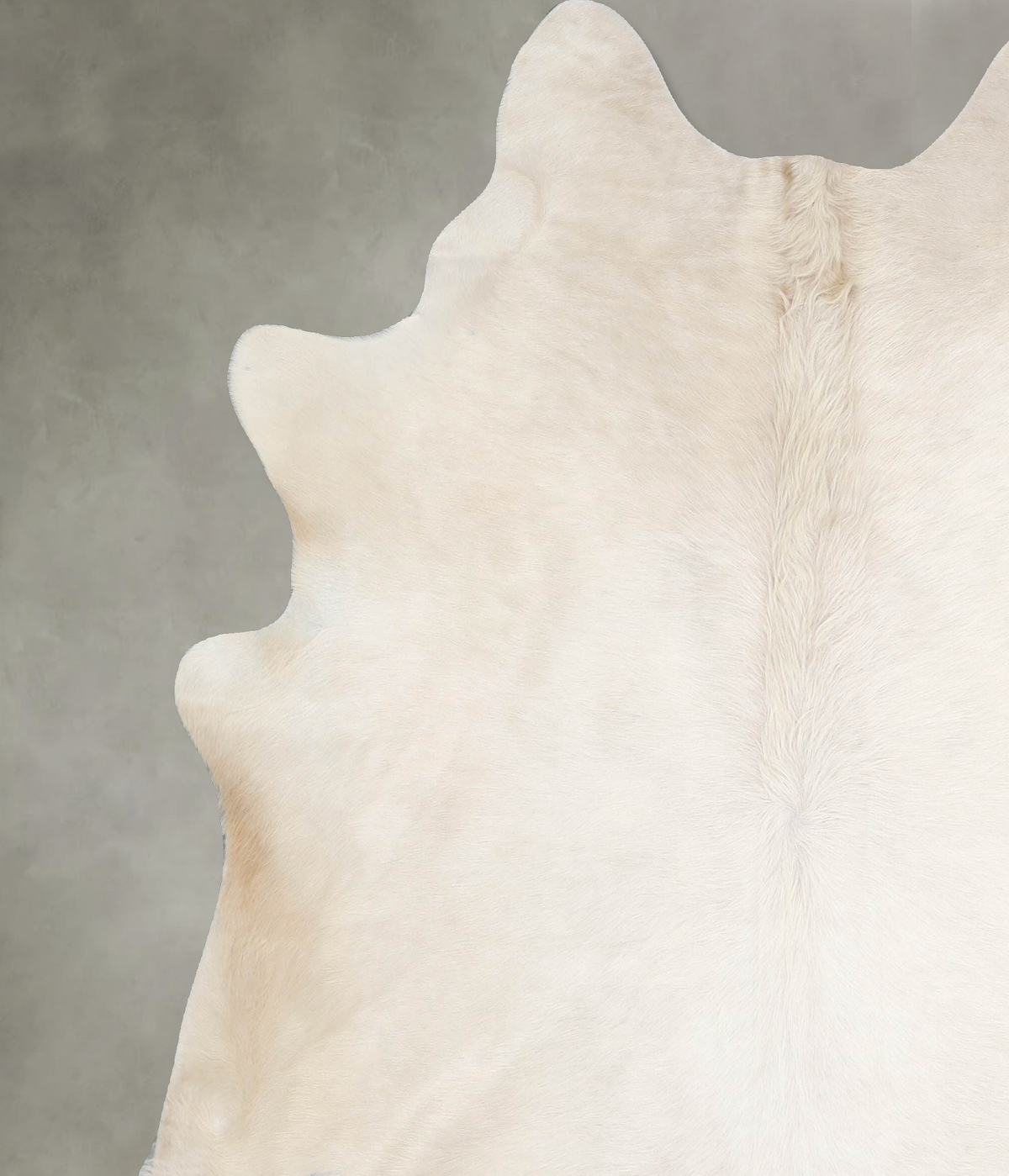 Champagne X-Large Brazilian Cowhide Rug 7'1"H x 6'3"W #A55078 by Hudson Hides