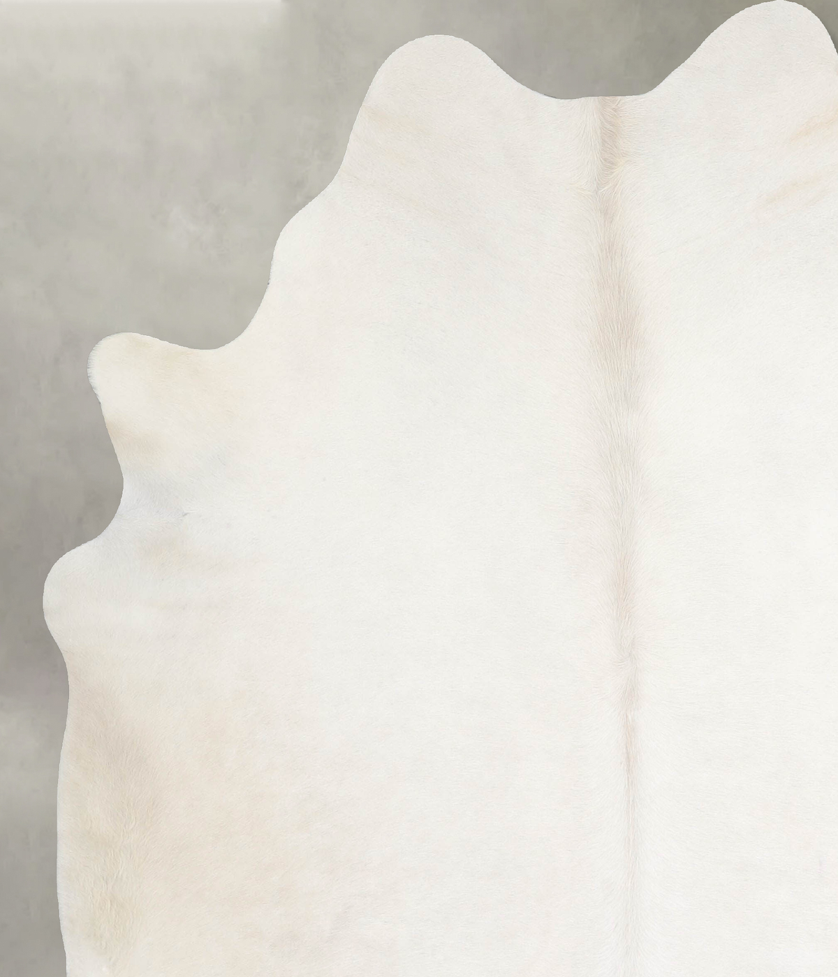 Champagne X-Large Brazilian Cowhide Rug 7'2"H x 6'3"W #A55079 by Hudson Hides