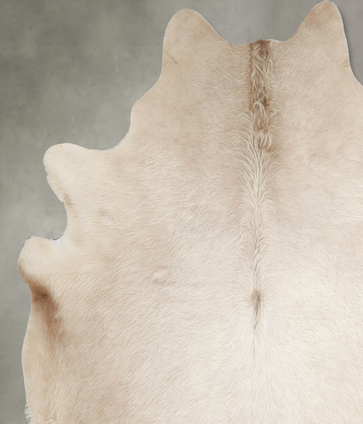 Champagne XX-Large Brazilian Cowhide Rug 7'8"H x 6'8"W #A55082 by Hudson Hides