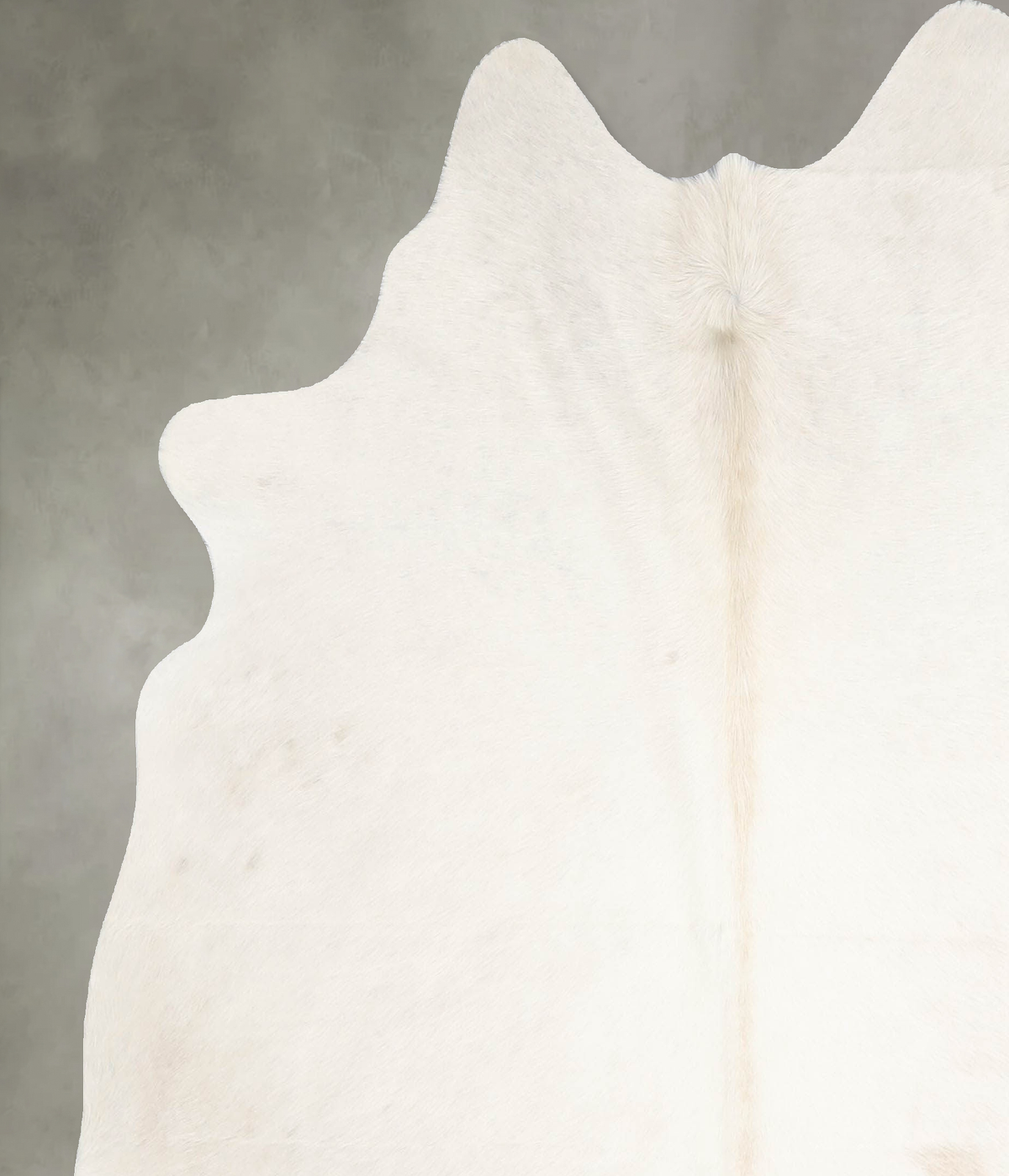 Champagne Large Brazilian Cowhide Rug 5'10"H x 5'9"W #A55088 by Hudson Hides