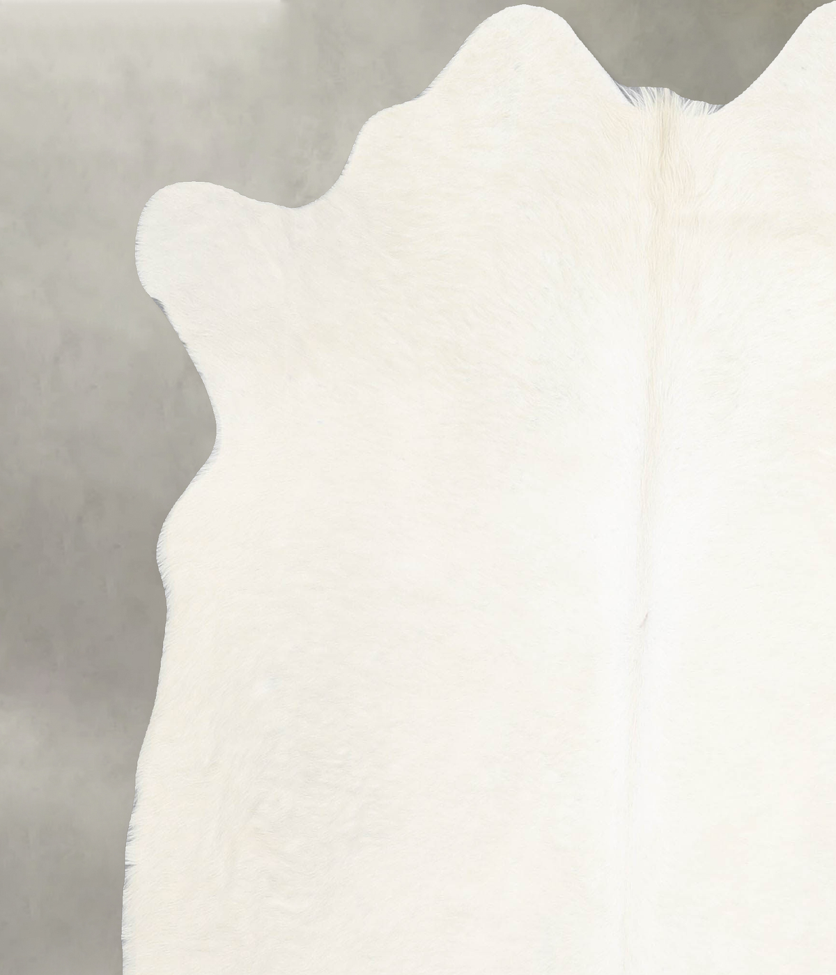 Champagne Large Brazilian Cowhide Rug 5'11"H x 5'4"W #A55089 by Hudson Hides
