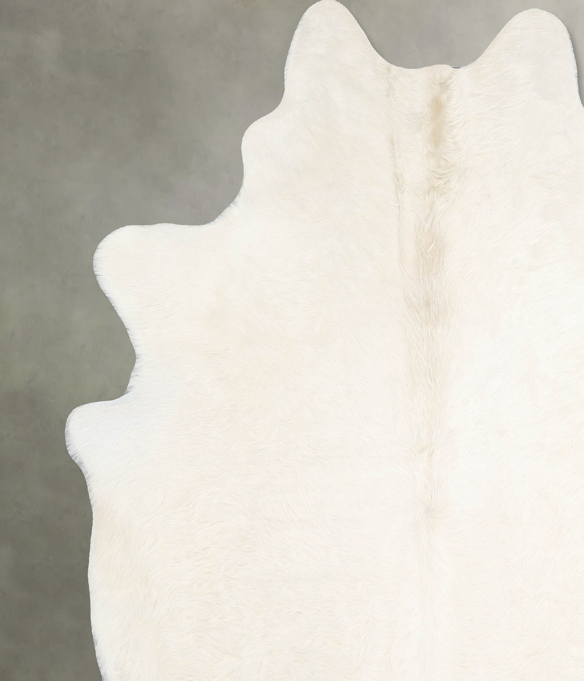 Champagne XX-Large Brazilian Cowhide Rug 6'8"H x 6'0"W #A55091 by Hudson Hides