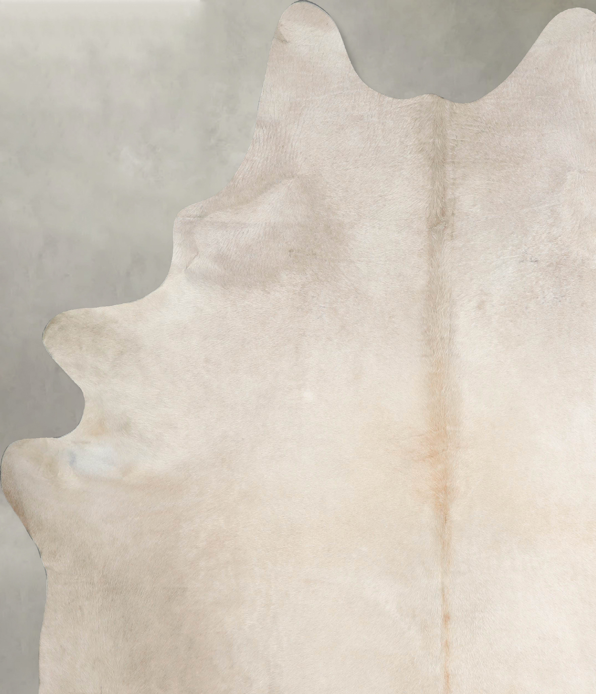 Champagne XX-Large Brazilian Cowhide Rug 8'1"H x 6'8"W #A55101 by Hudson Hides
