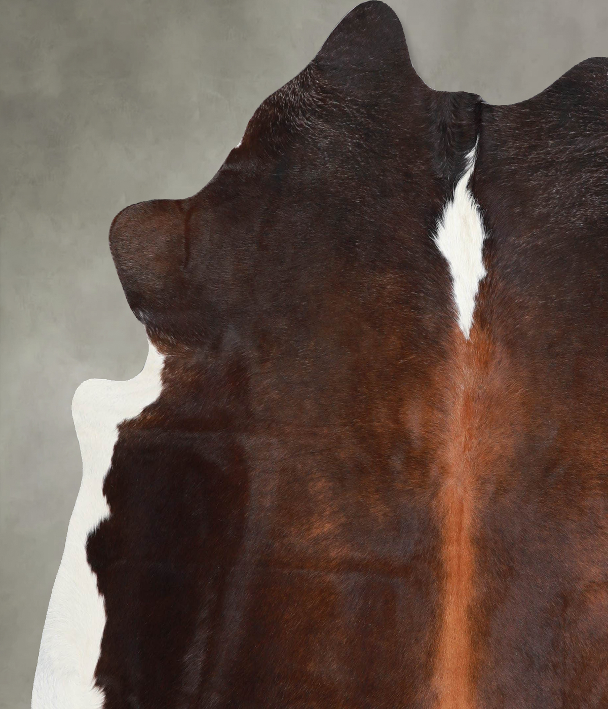 Chocolate and White Large Brazilian Cowhide Rug 6'1"H x 5'8"W #A55121 by Hudson Hides