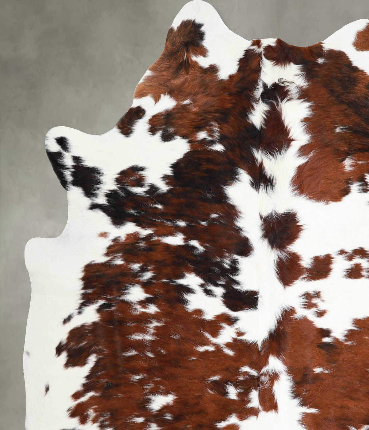 Tricolor X-Large Brazilian Cowhide Rug 7'2"H x 6'3"W #A55129 by Hudson Hides