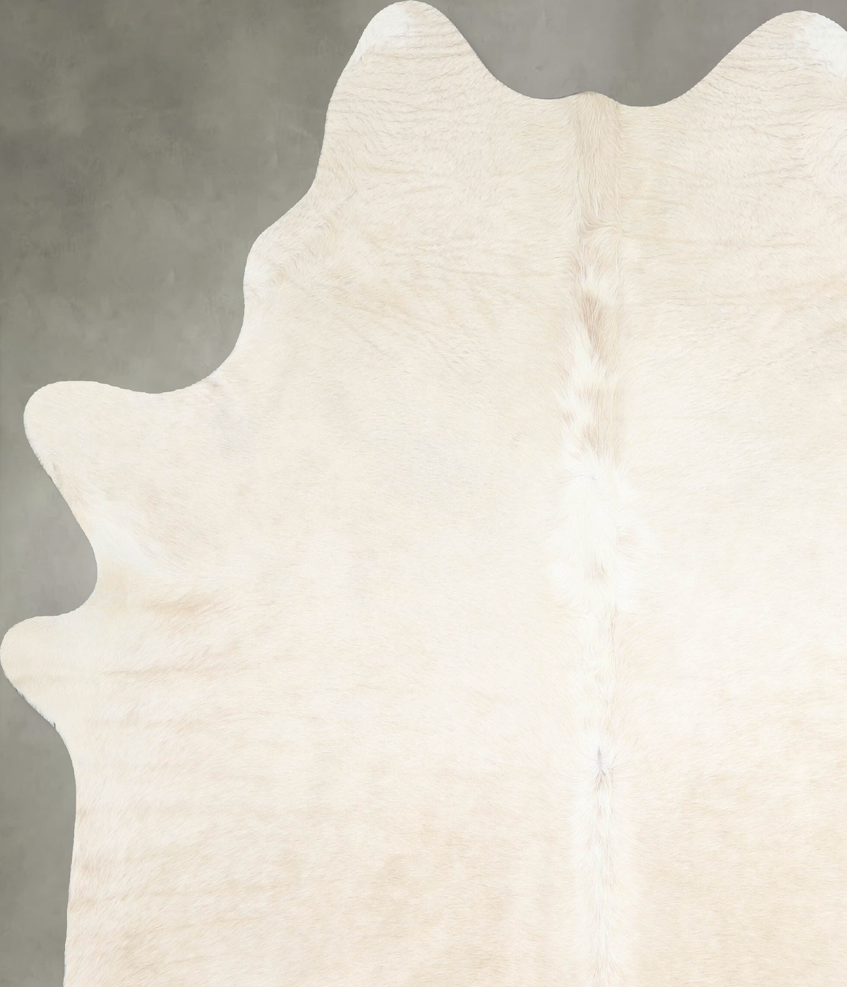 Champagne X-Large Brazilian Cowhide Rug 7'6"H x 6'1"W #A55136 by Hudson Hides
