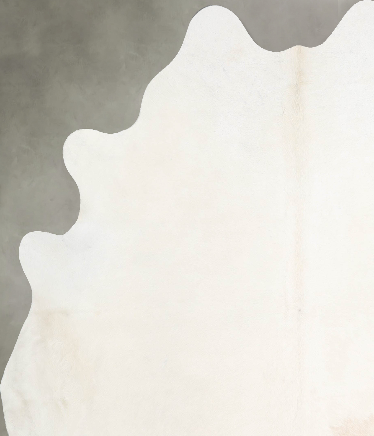 Champagne Large Brazilian Cowhide Rug 6'3"H x 5'8"W #A55142 by Hudson Hides