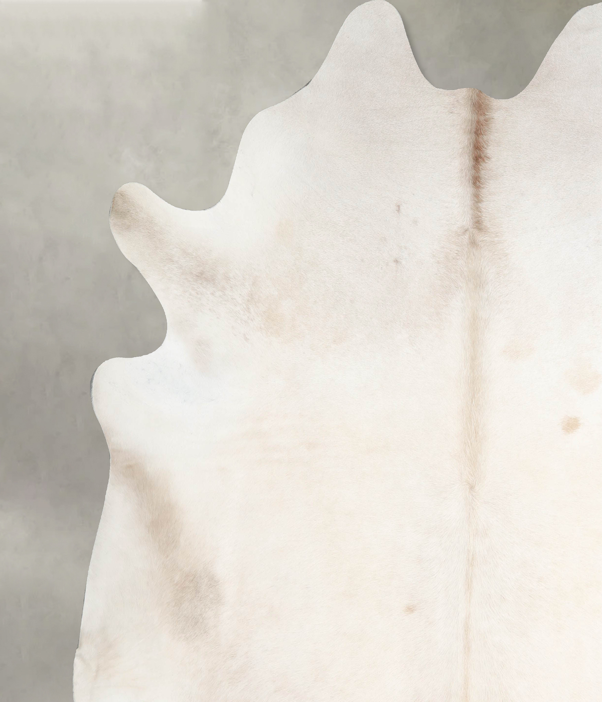 Champagne XX-Large Brazilian Cowhide Rug 7'11"H x 7'7"W #A55146 by Hudson Hides