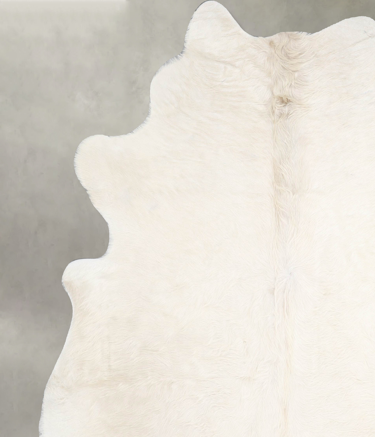 Champagne Large Brazilian Cowhide Rug 6'8"H x 5'11"W #A55148 by Hudson Hides