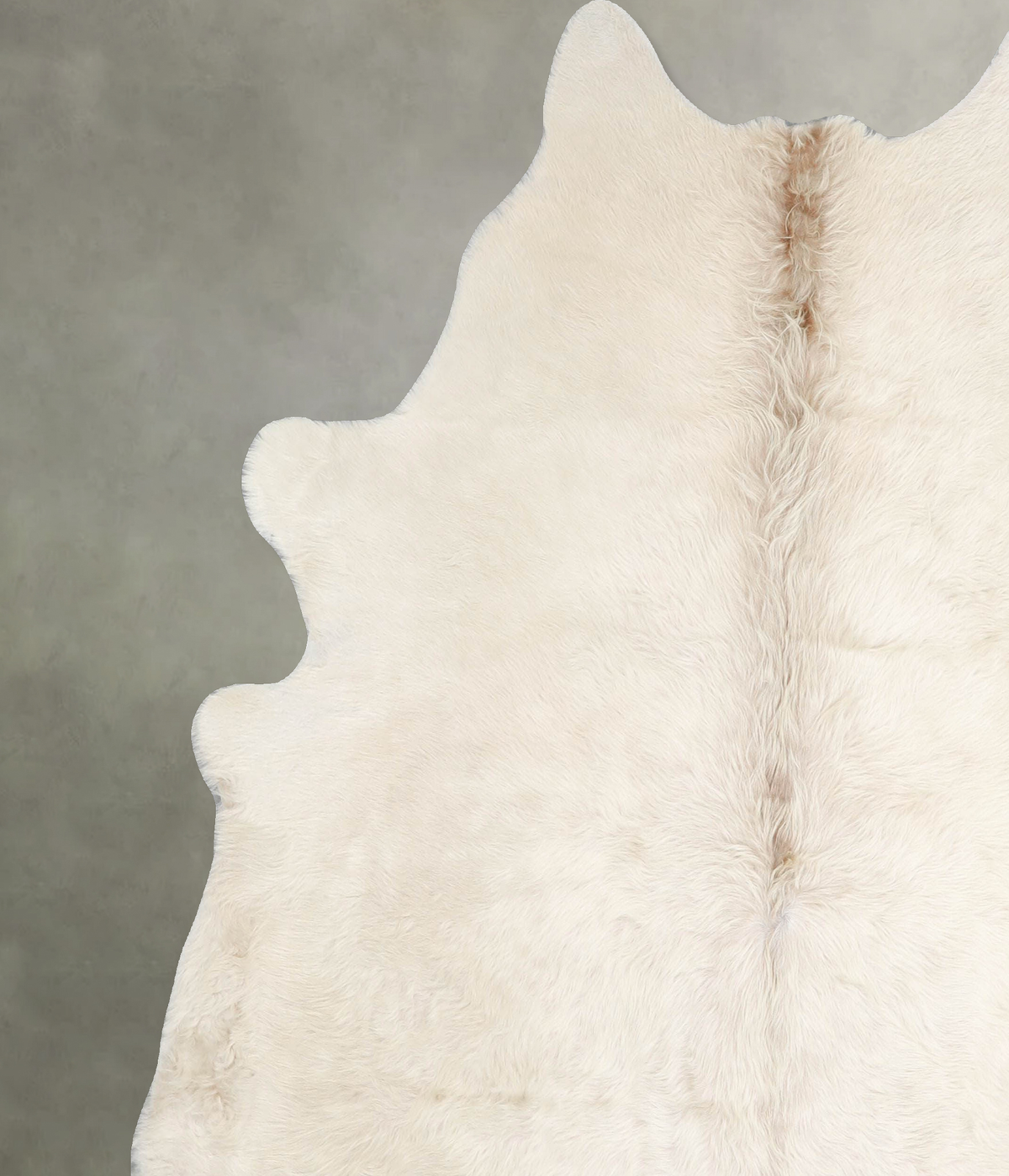Champagne X-Large Brazilian Cowhide Rug 7'0"H x 6'8"W #A55149 by Hudson Hides