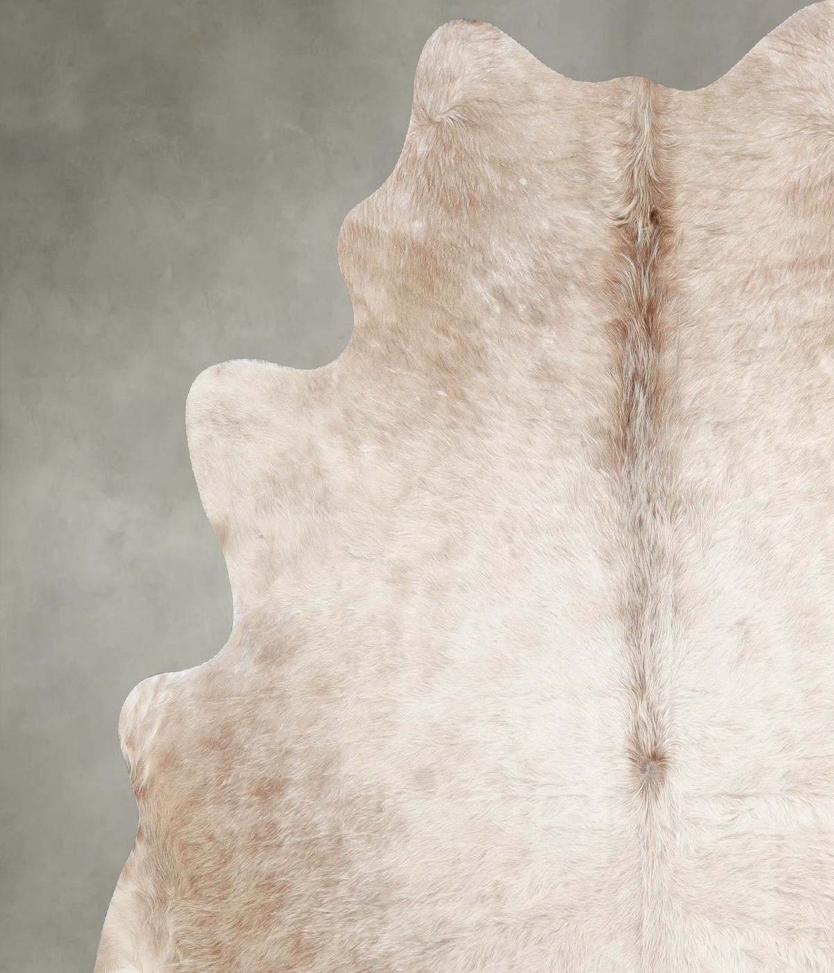 Champagne Large Brazilian Cowhide Rug 5'10"H x 5'6"W #A55155 by Hudson Hides