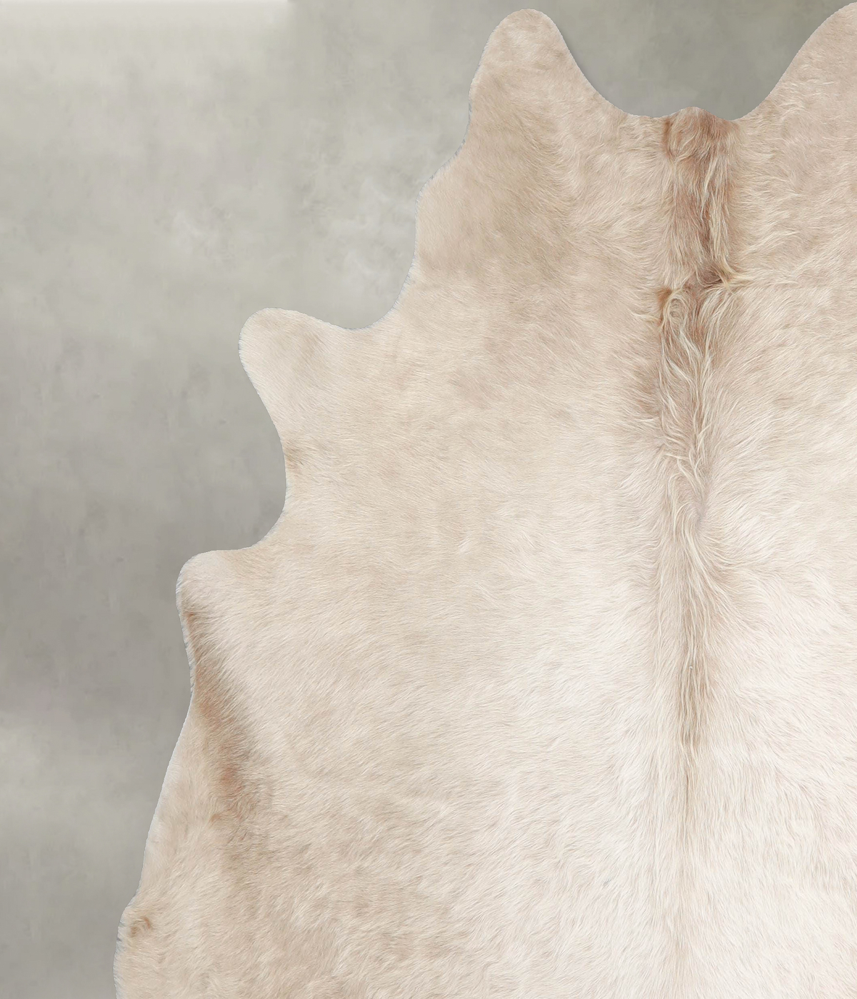 Champagne X-Large Brazilian Cowhide Rug 6'10"H x 6'7"W #A55156 by Hudson Hides