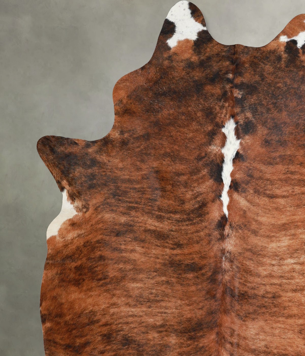 Medium Brindle XX-Large Brazilian Cowhide Rug 8'1"H x 6'8"W #A55161 by Hudson Hides