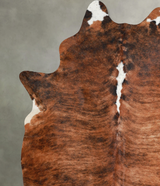 Medium Brindle XX-Large Brazilian Cowhide Rug 8'1"H x 6'8"W #A55161 by Hudson Hides