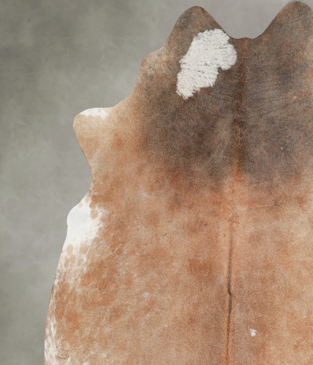 Light Caramel XX-Large Brazilian Cowhide Rug 7'10"H x 7'5"W #A55162 by Hudson Hides
