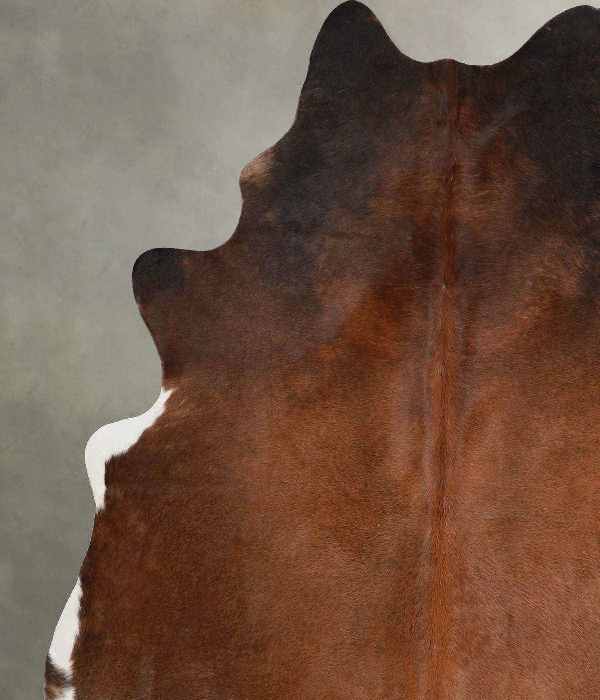 Warm Caramel X-Large Brazilian Cowhide Rug 7'5"H x 6'4"W #A55165 by Hudson Hides