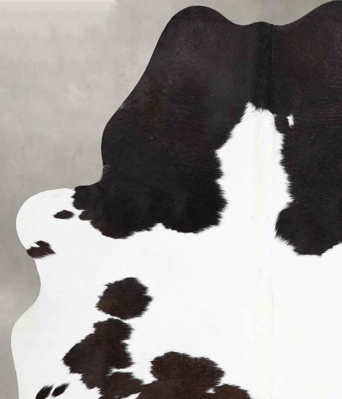 Chocolate and White Medium Brazilian Cowhide Rug 5'3"H x 4'5"W #A55170 by Hudson Hides
