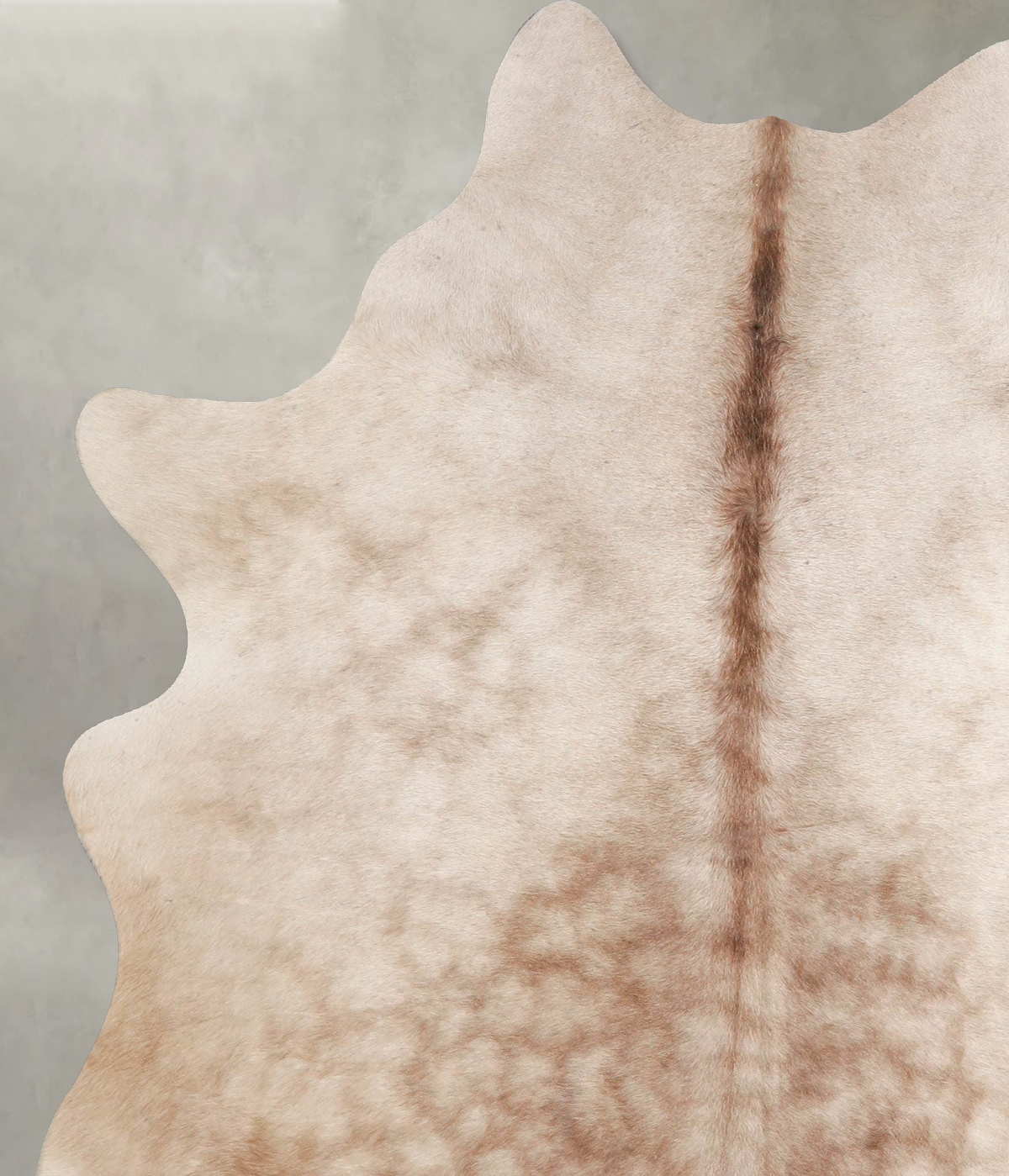 Champagne Large Brazilian Cowhide Rug 6'9"H x 5'5"W #A55184 by Hudson Hides