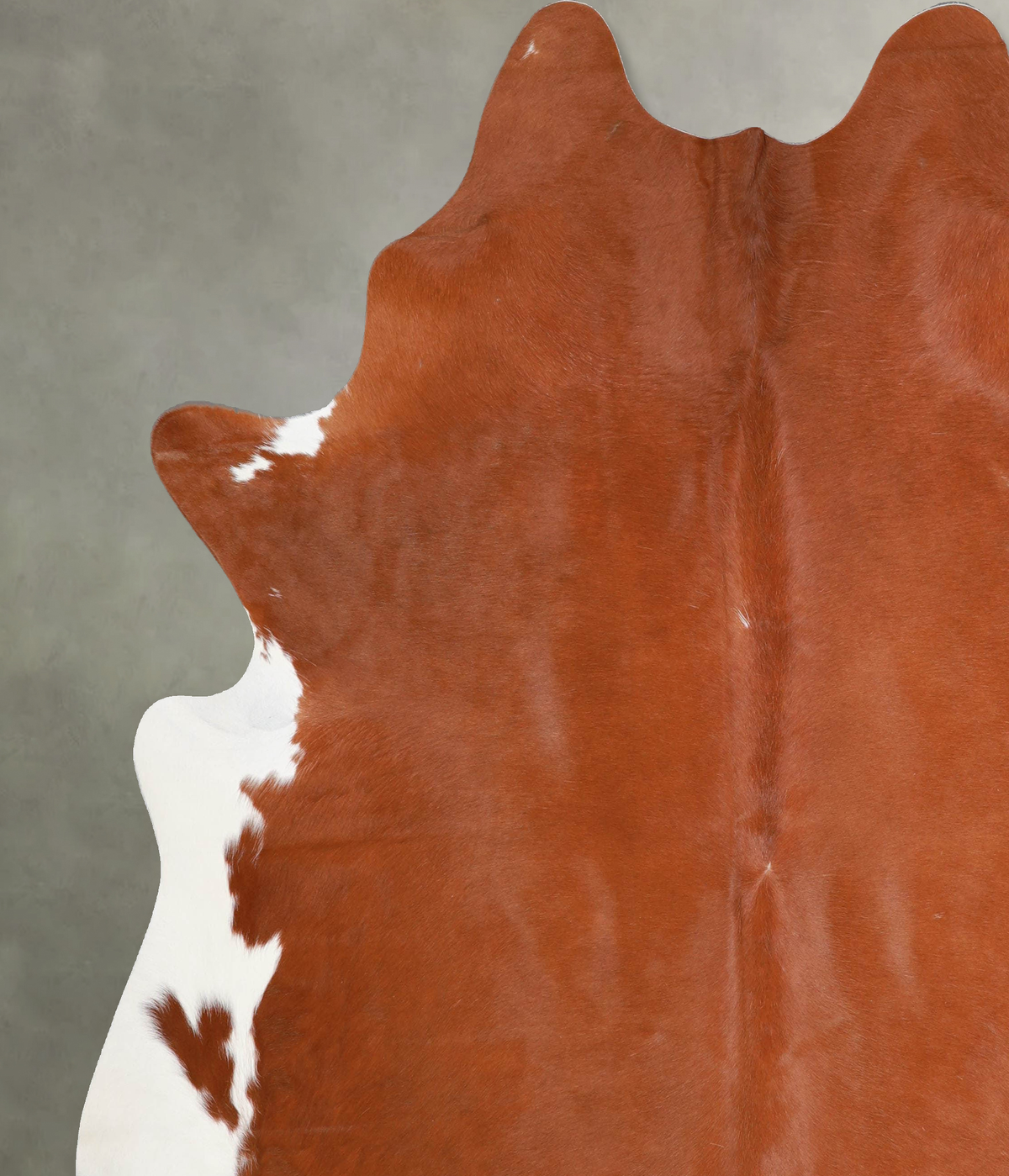 Brown and White Regular XX-Large Brazilian Cowhide Rug 7'8"H x 6'11"W #A55186 by Hudson Hides