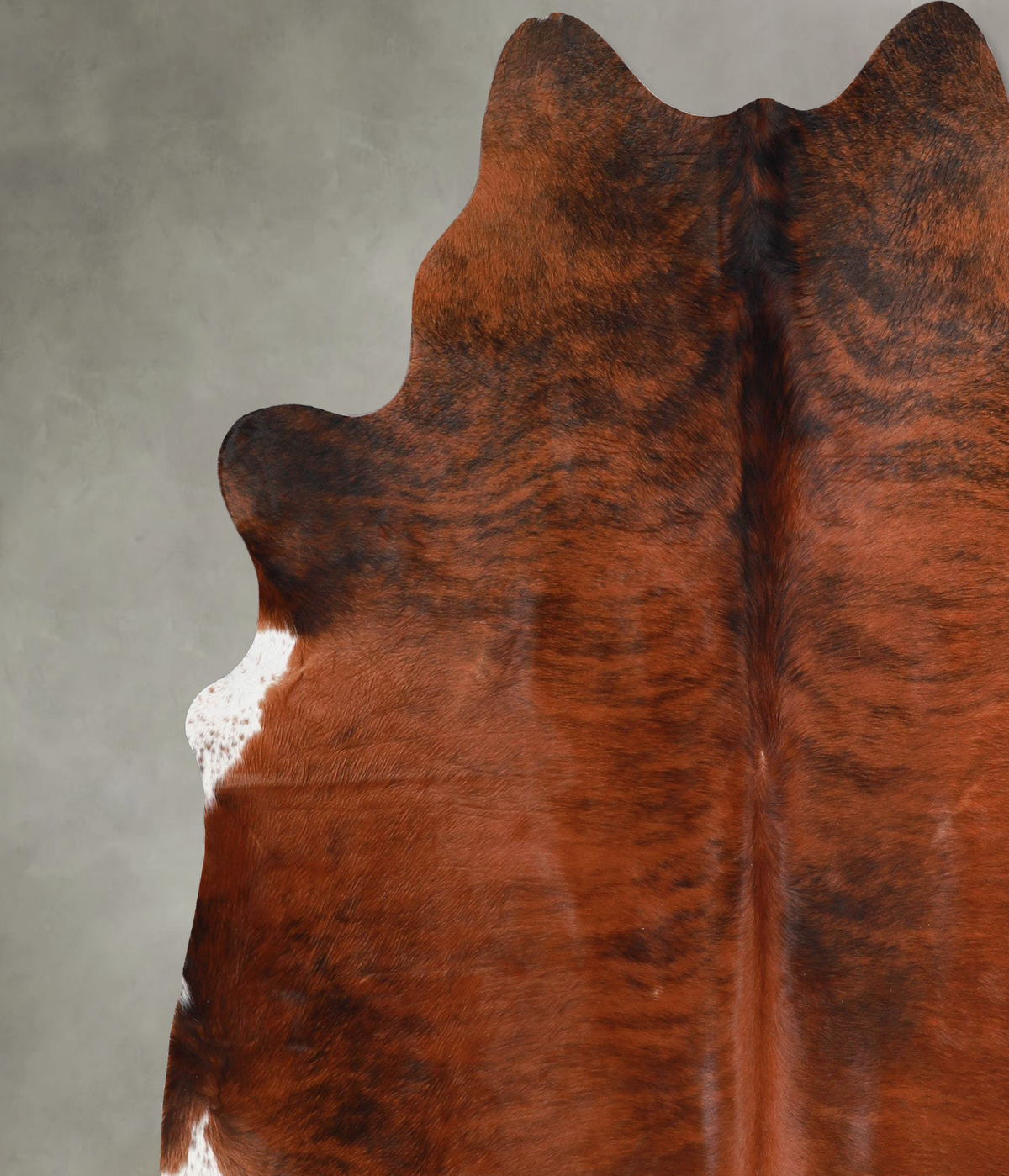 Medium Brindle XX-Large Brazilian Cowhide Rug 7'6"H x 7'1"W #A55187 by Hudson Hides