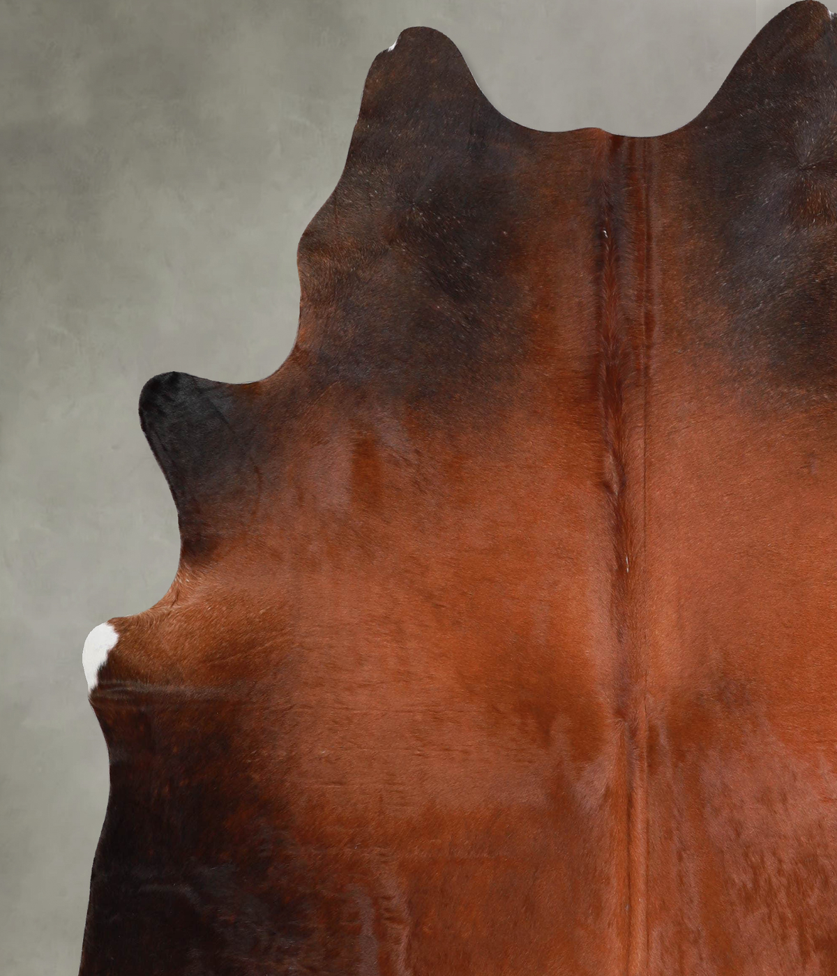 Warm Caramel X-Large Brazilian Cowhide Rug 7'1"H x 6'2"W #A55196 by Hudson Hides