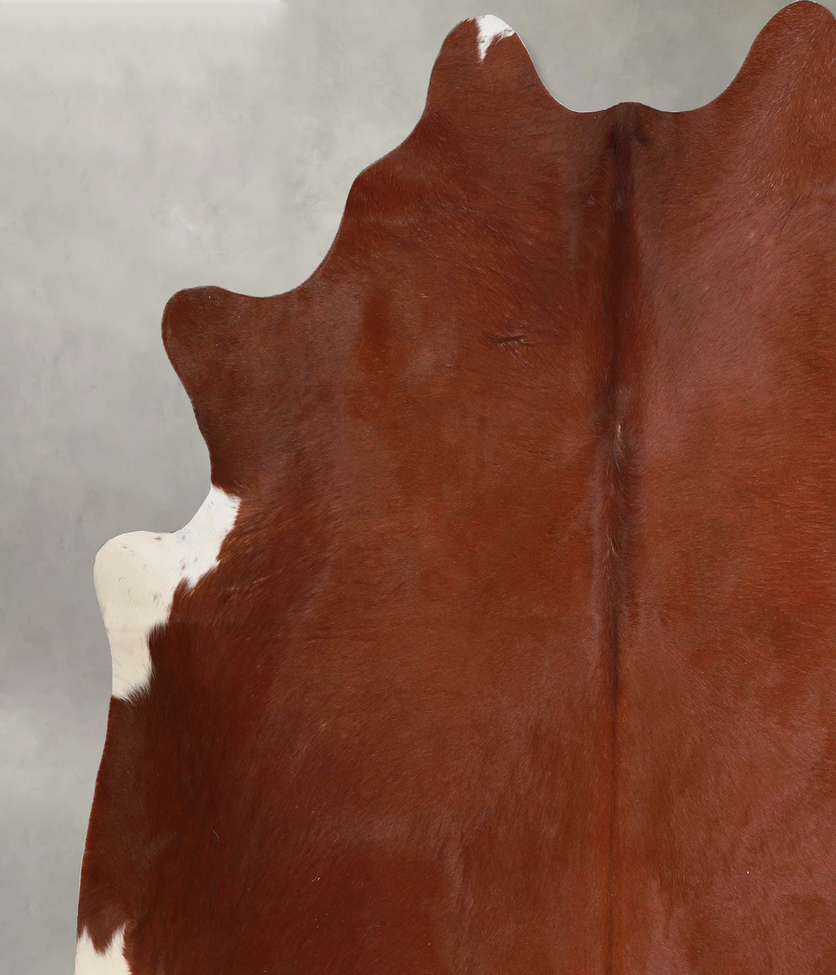 Solid Brown X-Large Brazilian Cowhide Rug 6'10"H x 6'8"W #A55201 by Hudson Hides