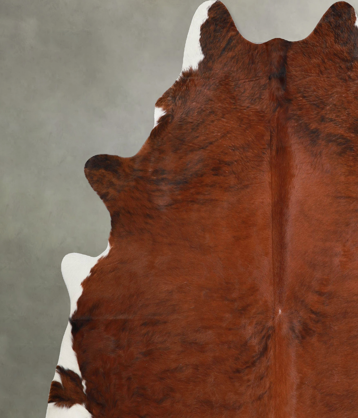 Medium Brindle XX-Large Brazilian Cowhide Rug 7'5"H x 7'0"W #A55202 by Hudson Hides