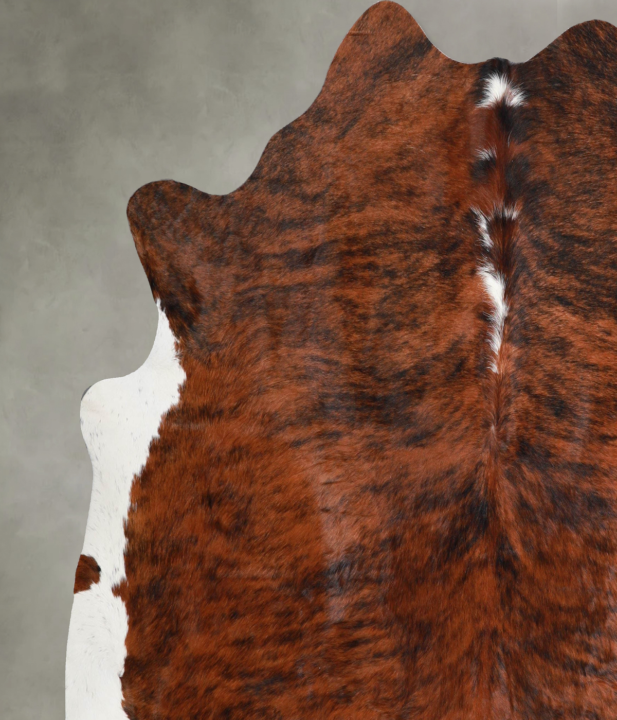 Medium Brindle X-Large Brazilian Cowhide Rug 6'6"H x 6'10"W #A55203 by Hudson Hides