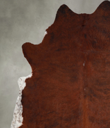 Medium Brindle XX-Large Brazilian Cowhide Rug 8'0"H x 7'5"W #A55205 by Hudson Hides