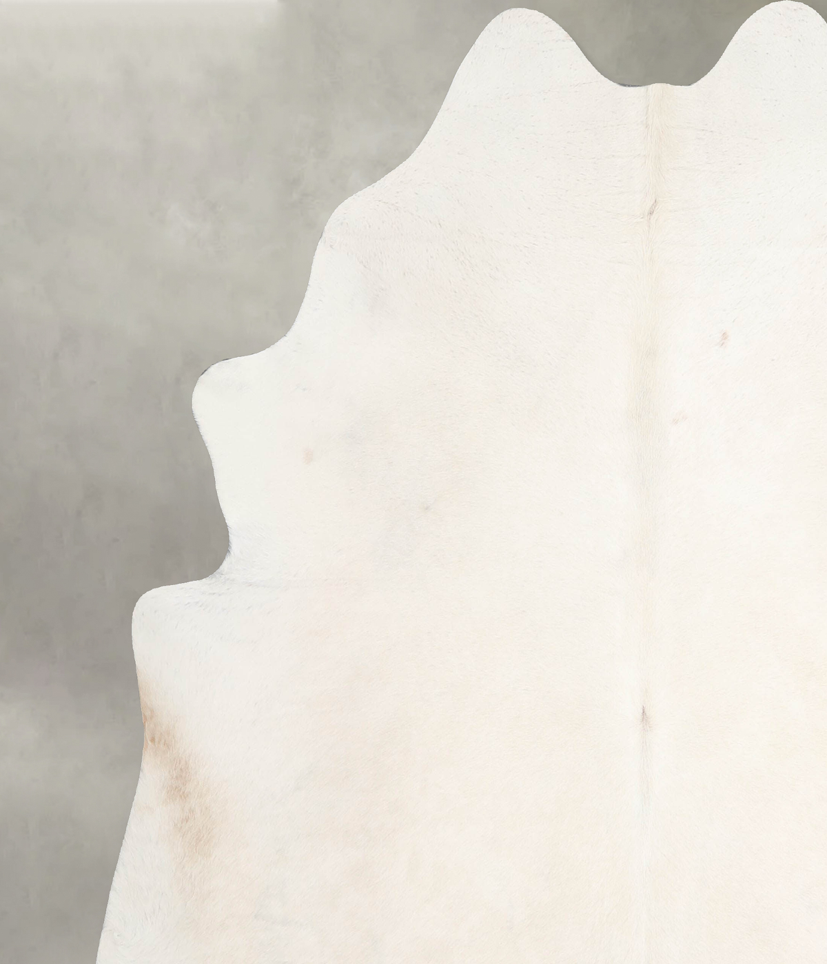 Ivory with Beige X-Large Brazilian Cowhide Rug 7'3"H x 6'9"W #A55207 by Hudson Hides