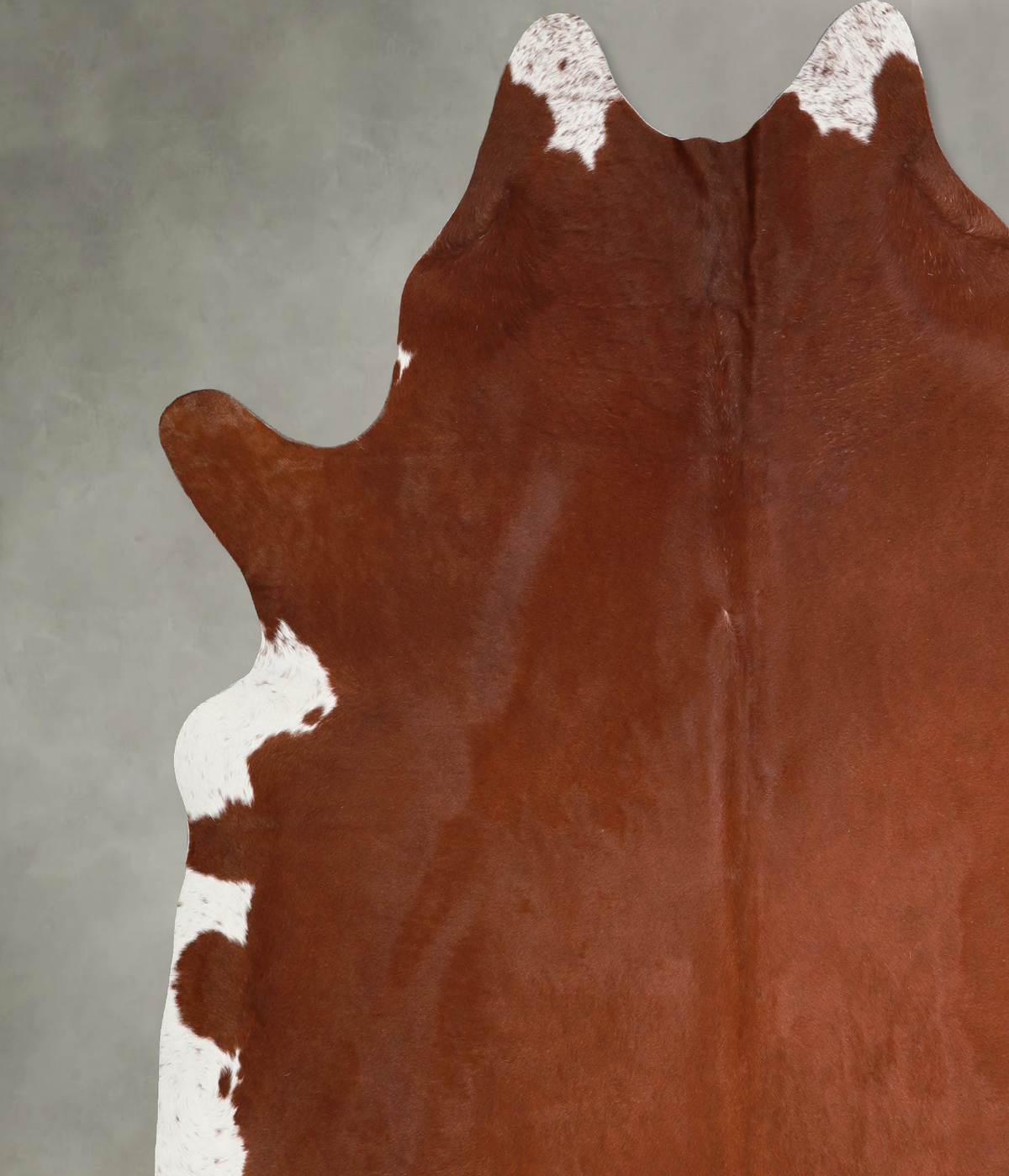 Solid Brown XX-Large Brazilian Cowhide Rug 7'7"H x 7'7"W #A55210 by Hudson Hides