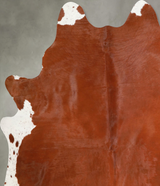 Brown and White Regular X-Large Brazilian Cowhide Rug 7'4"H x 6'7"W #A55214 by Hudson Hides
