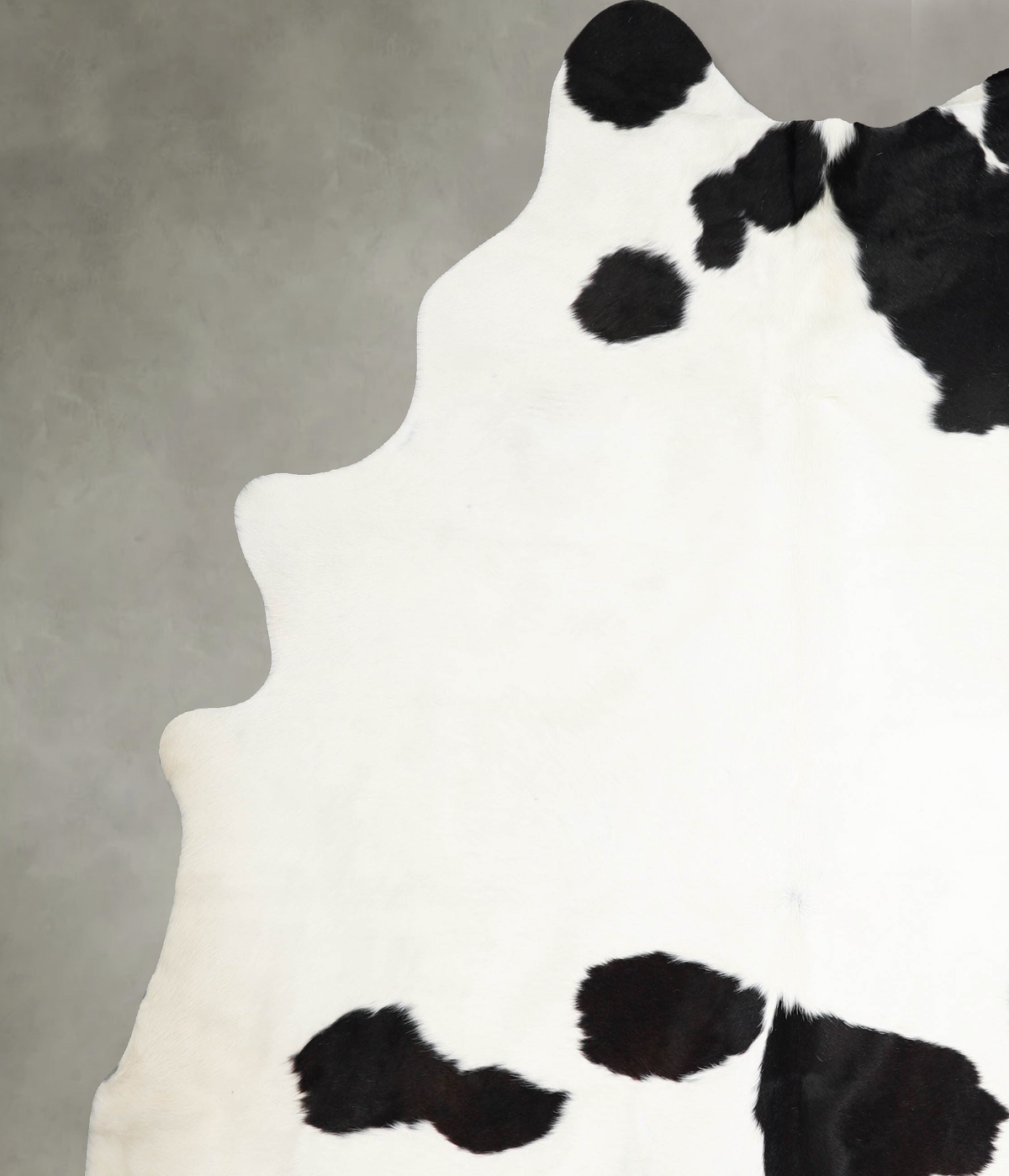Black and White XX-Large Brazilian Cowhide Rug 8'1"H x 6'11"W #A55215 by Hudson Hides