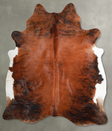 Medium Brindle X-Large Brazilian Cowhide Rug 7'9"H x 6'4"W #A55216 by Hudson Hides