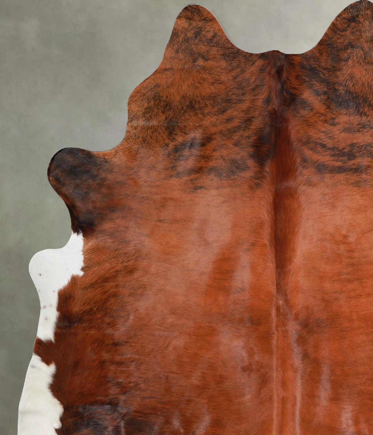 Medium Brindle X-Large Brazilian Cowhide Rug 7'9"H x 6'4"W #A55216 by Hudson Hides