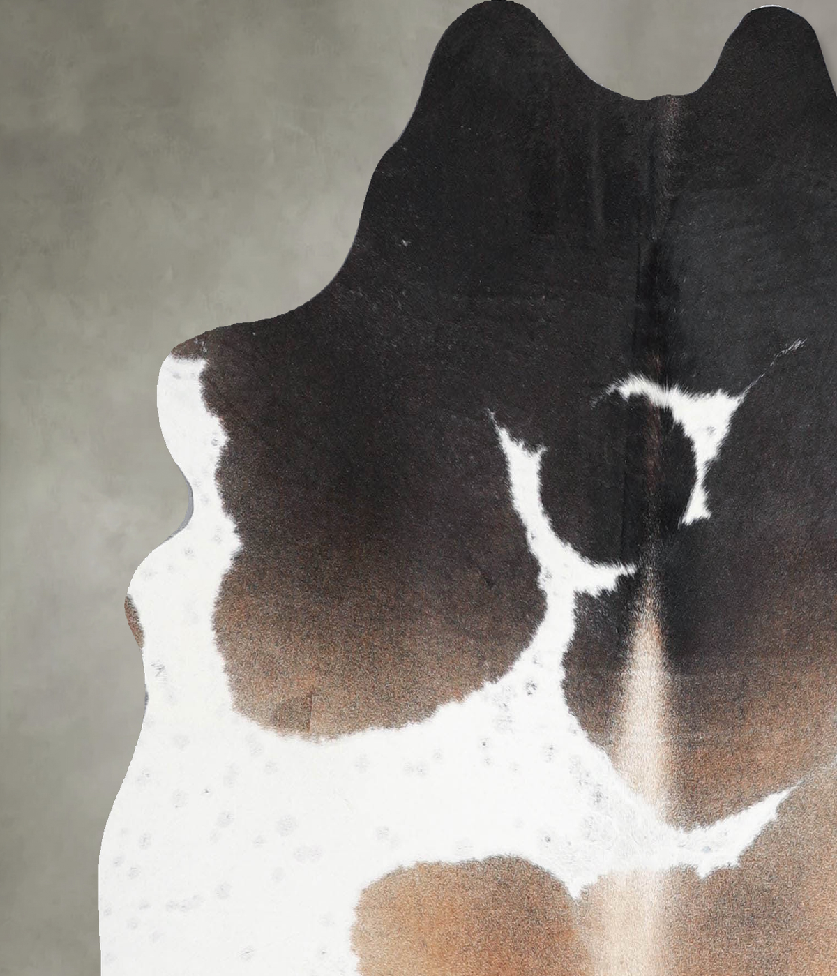 Chocolate and White Medium Brazilian Cowhide Rug 4'9"H x 4'8"W #A55228 by Hudson Hides