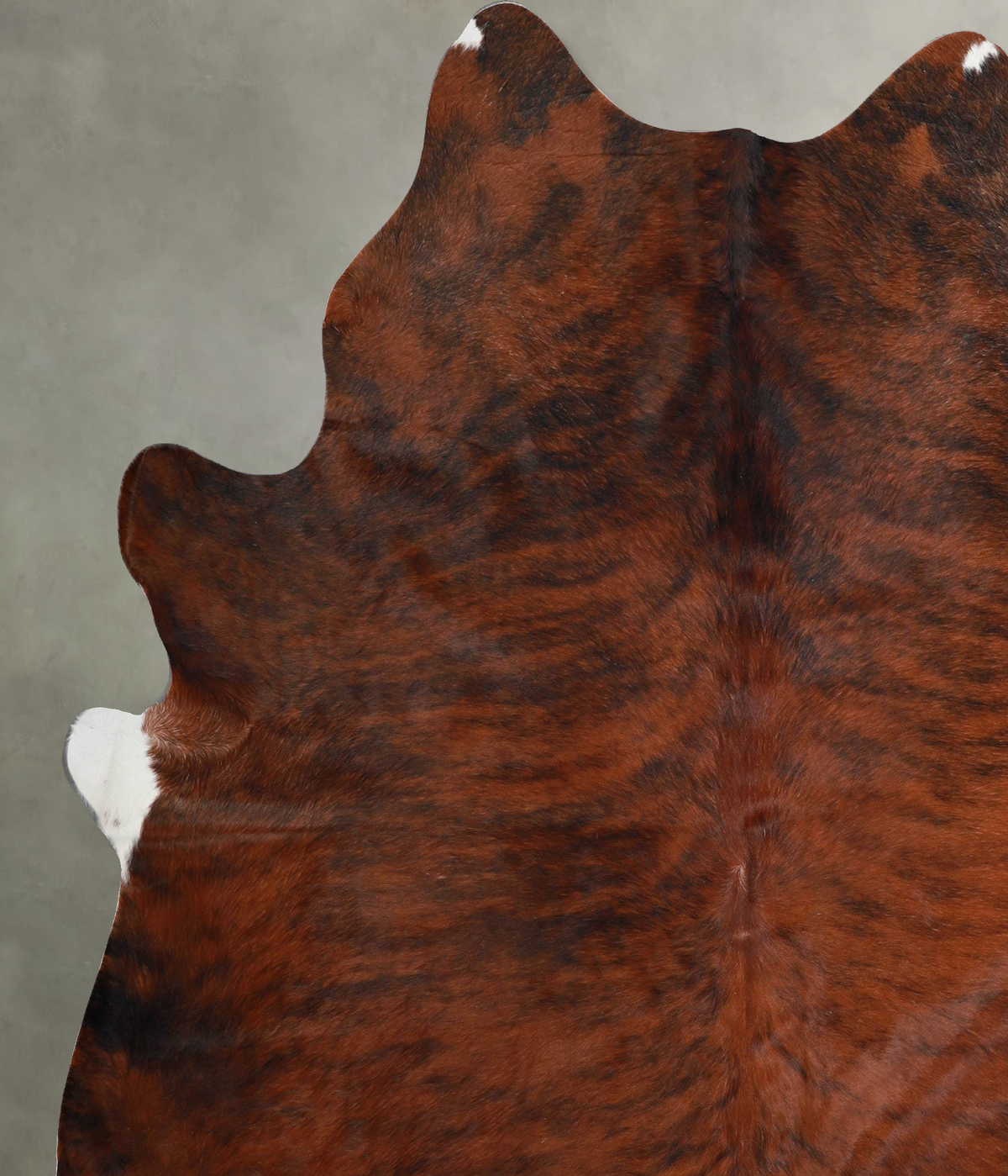Medium Brindle XX-Large Brazilian Cowhide Rug 7'6"H x 7'0"W #A55230 by Hudson Hides