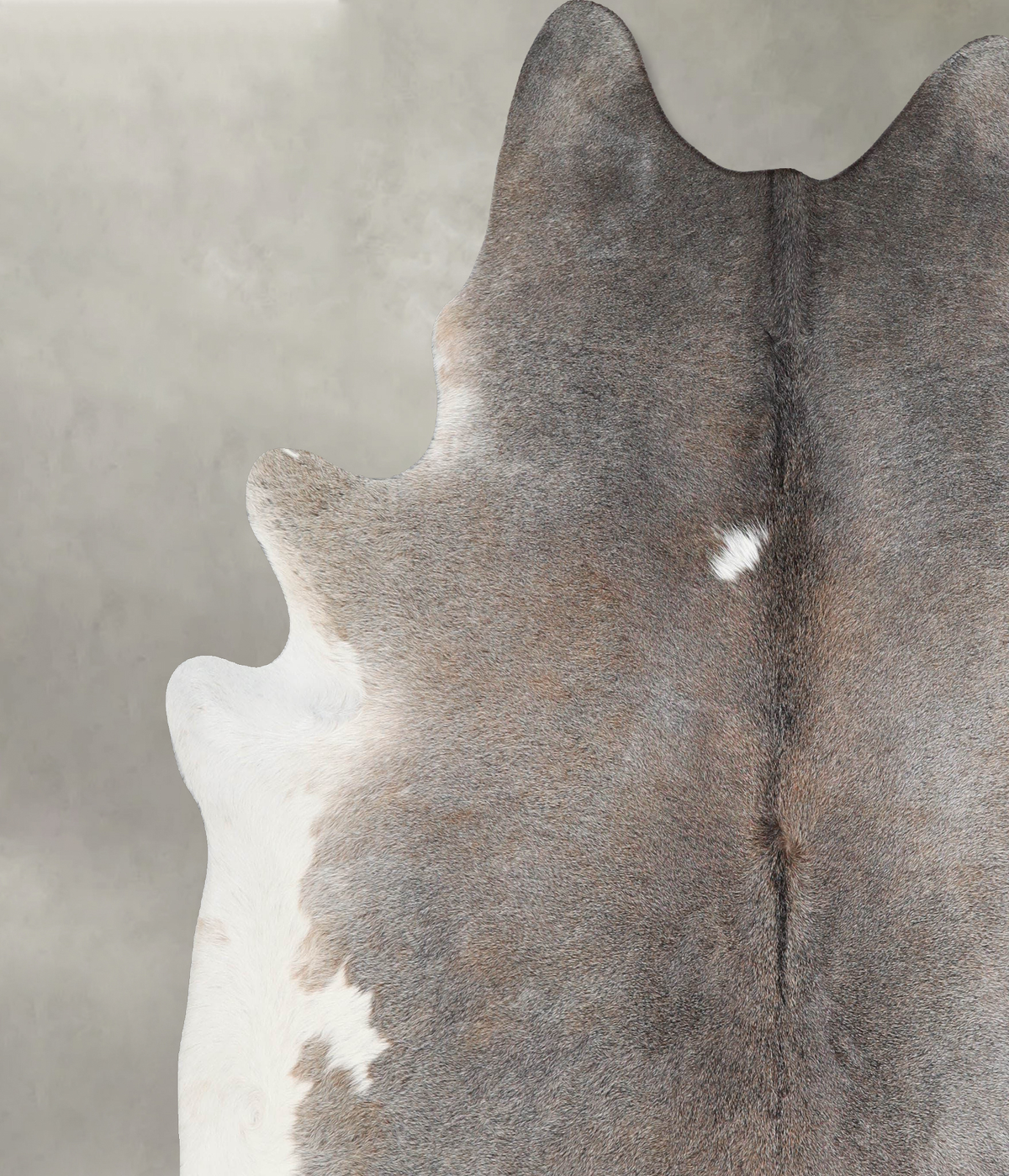 Grey with Beige XX-Large Brazilian Cowhide Rug 7'7"H x 7'3"W #A55233 by Hudson Hides