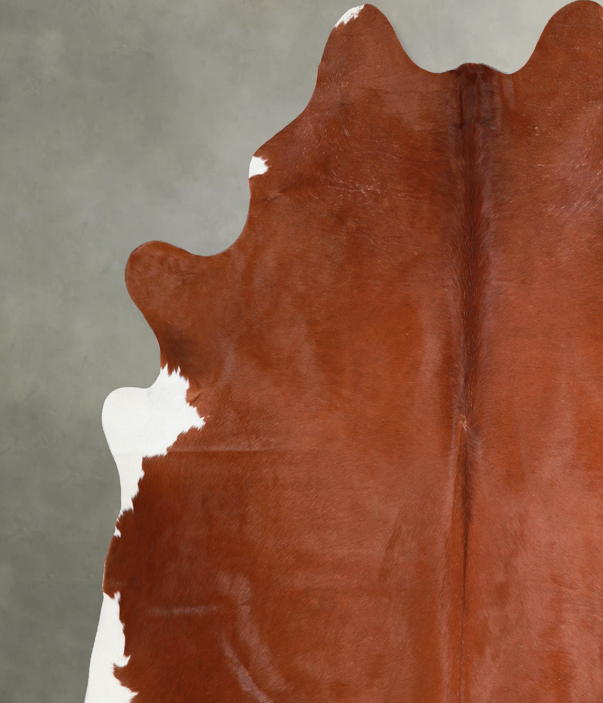 Solid Brown XX-Large Brazilian Cowhide Rug 7'9"H x 6'10"W #A55234 by Hudson Hides