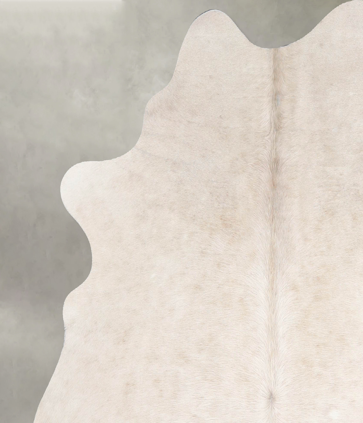 Ivory with Beige Medium Brazilian Cowhide Rug 5'4"H x 5'3"W #A55236 by Hudson Hides