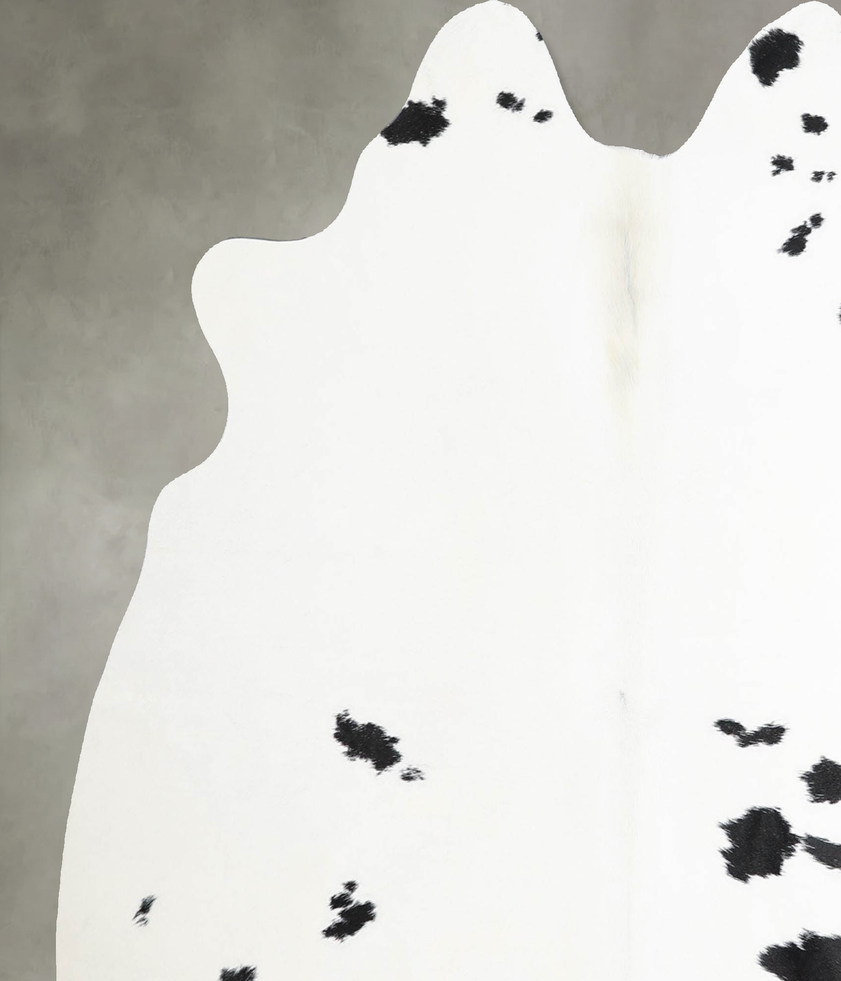 Black and White Medium Brazilian Cowhide Rug 5'1"H x 5'3"W #A55239 by Hudson Hides